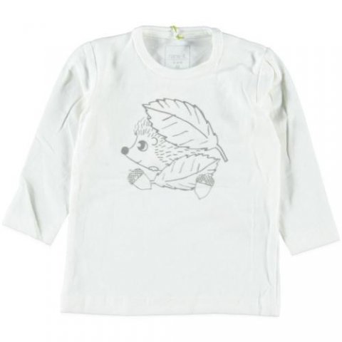 Name It shirtje (va.50)